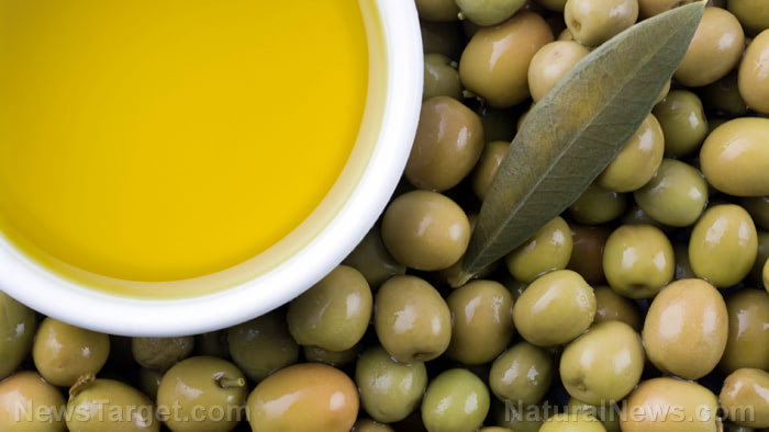 Olive oil halts growth of breast cancer tumors