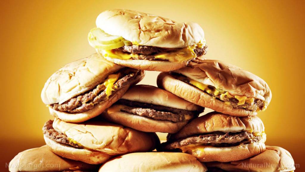 A high-fat diet encourages the growth of fungi in the gut, which makes for an unhealthy microbiota and contributes to obesity, study finds