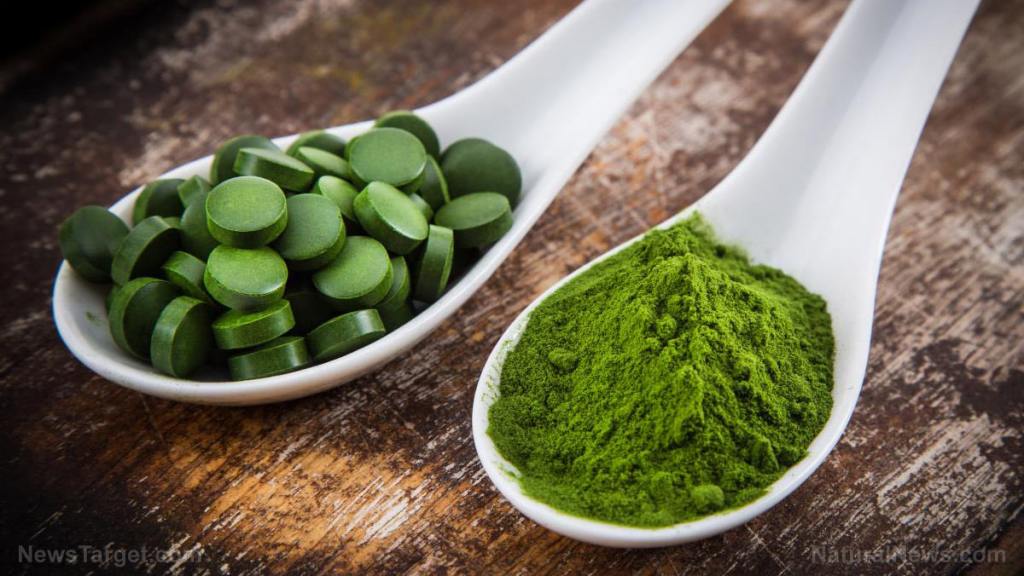 Is chlorella the most potent superfood?