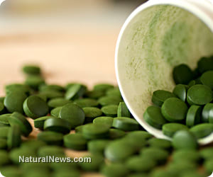 Spirulina: Immune boosting, mood enhancing, protein-rich wonder food