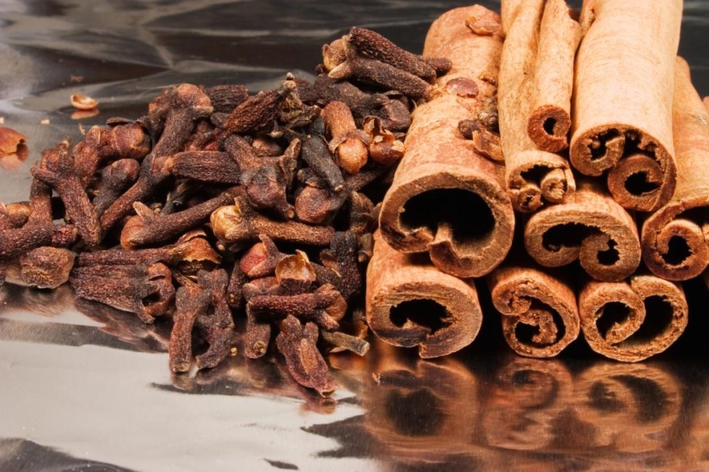 Food cures: Cinnamon bark oil found to kill multidrug-resistant bacteria