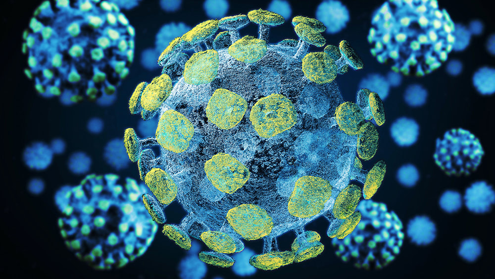 Study: Patients still have immunity to coronavirus 6 months after testing positive