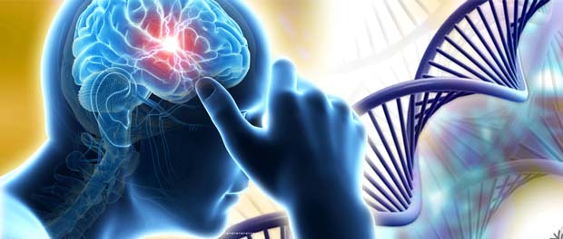 DNA Methylation Could Explain How People Respond to Fear and Anger