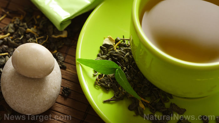 Researchers investigate green tea compounds that may help resolve antibiotic resistance
