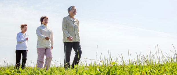 histone modifications reveal further insight into the process of aging