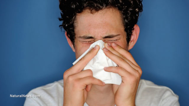 Sinus infections - How to avoid and cure naturally
