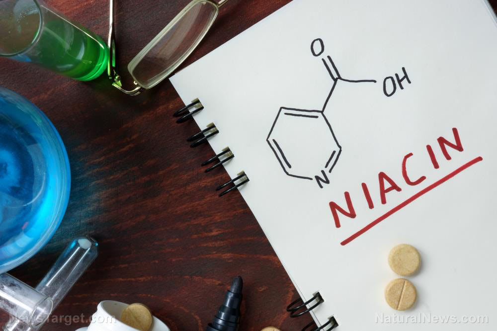 Understanding how niacin treats high cholesterol levels