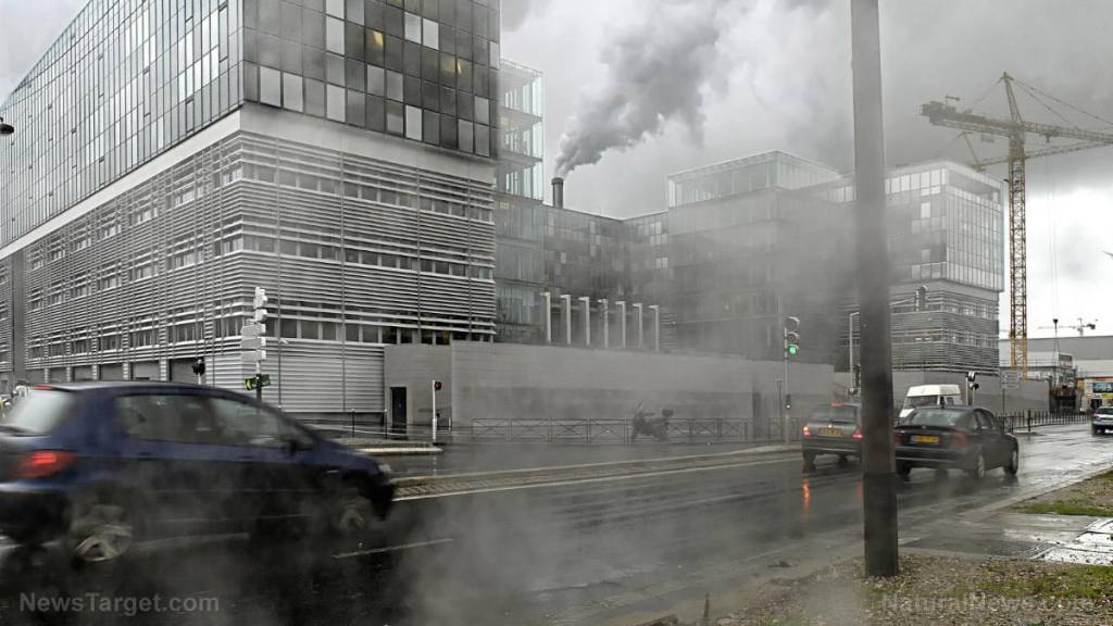 REPORT: 15% of coronavirus deaths worldwide can be attributed to air pollution