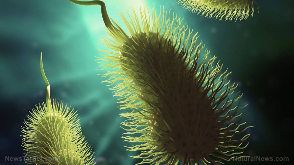 Local lake virus saves man suffering from life-threatening, antibiotic resistant heart infection