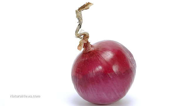Onion extract naturally improves blood sugar and cholesterol levels
