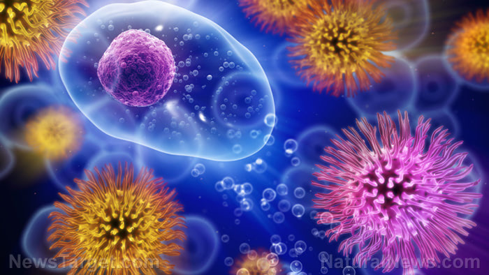 Bacteria-eating viruses may be effective at eliminating foodborne pathogens; could be used to prevent food poisoning