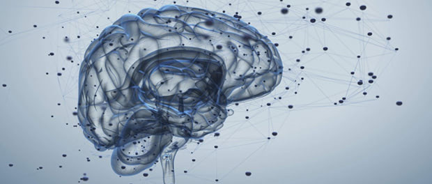 HDAC Inhibitor Could Sharpen Memory and Treat Cancer