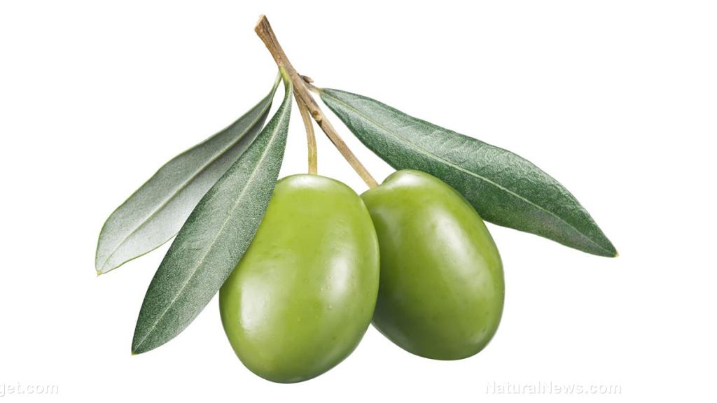 A potential cholesterol-lowering agent in olive leaves?