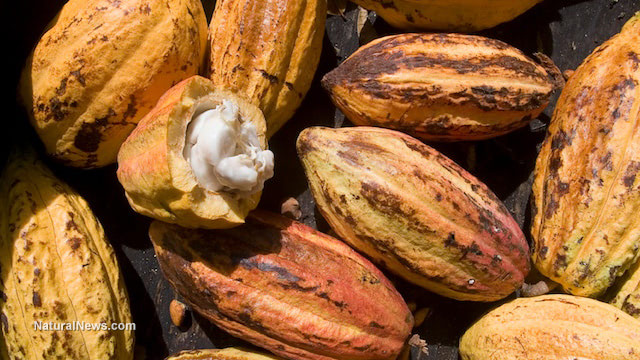 Magnesium deficiency? Try these 5 foods