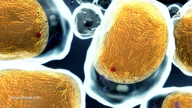 Lower your cholesterol naturally with these foods and nutrients