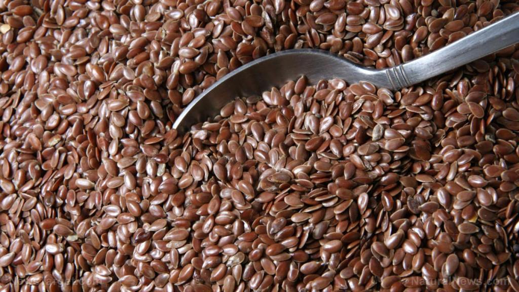 Assessing the antimicrobial activity of flaxseed