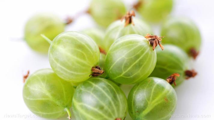 Cancer, heart disease, diabetes and aging don't stand a chance against the protective benefits of amla