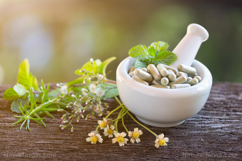 Identifying the anti-inflammatory activity of Ayurvedic plants with steroidal saponins