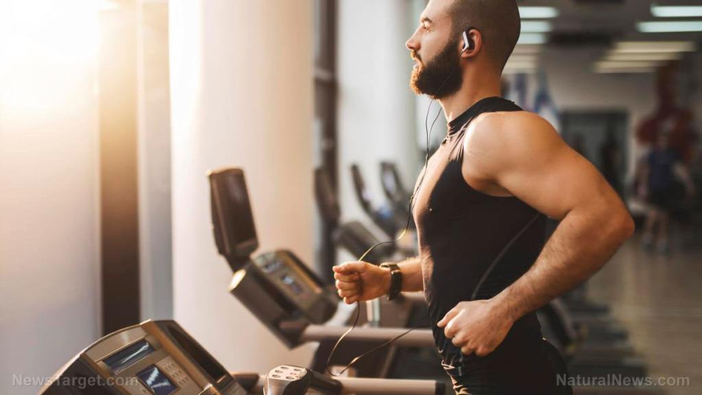 Testicular cancer survivors report being less tired if they regularly engage in high-intensity interval exercise