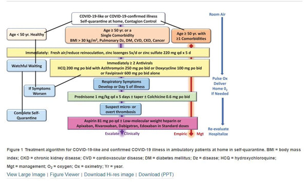 Treatment algorhitm for COVID-19-like and confirmed COVID-19 illness