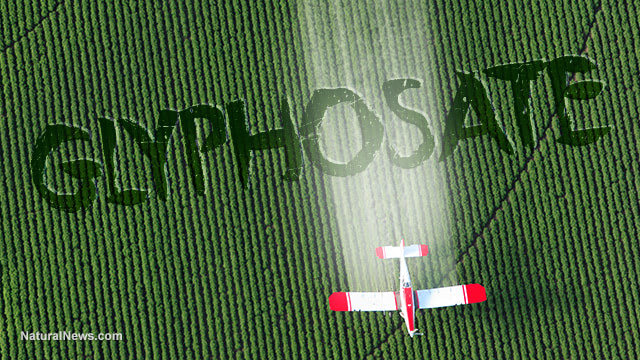 The link between glyphosate exposure and autism