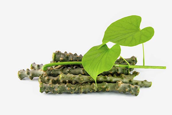 
Exploring the inhibitory activity of Tinospora cordifolia (heart-leaved moonseed) against diabetes symptoms