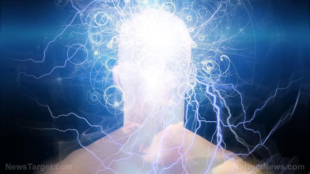 German researchers successfully implant, then delete, false memories in people’s minds