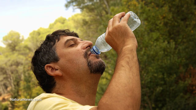 BPA alternative present in plastic just as harmful to embryonic development and reproductive system in animal study