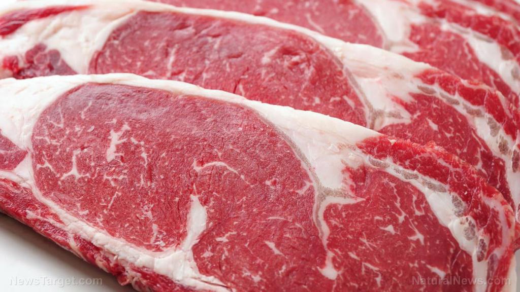 U.S. treating meat with ammonia, bleach and antibiotics to kill the '24-hour sickness'