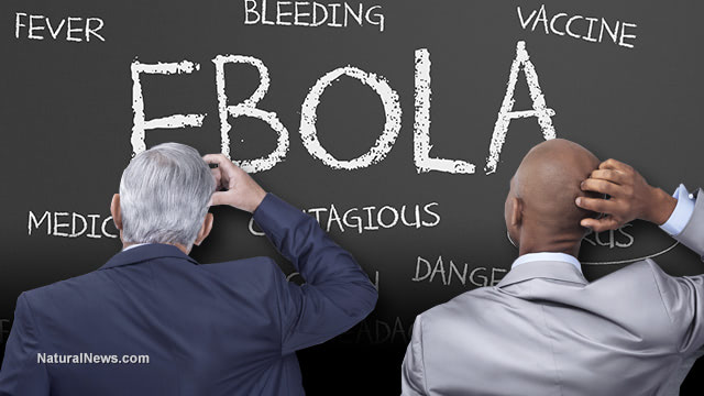 How to stay ahead of the Ebola virus