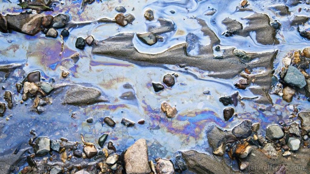 Breakthrough: Researchers use nanoparticles to separate oil from water