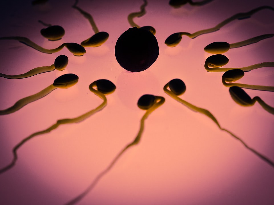 Scientist says sperm counts are dropping so low that human reproduction may soon be a thing of the past