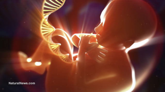 Beyond genetics: children's health encoded into them by their parent's decisions long before conception
