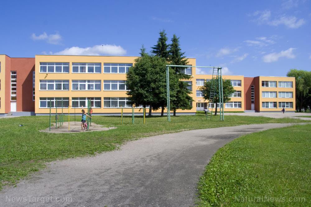 5G, biometrics systems being covertly installed in schools during coronavirus lockdowns