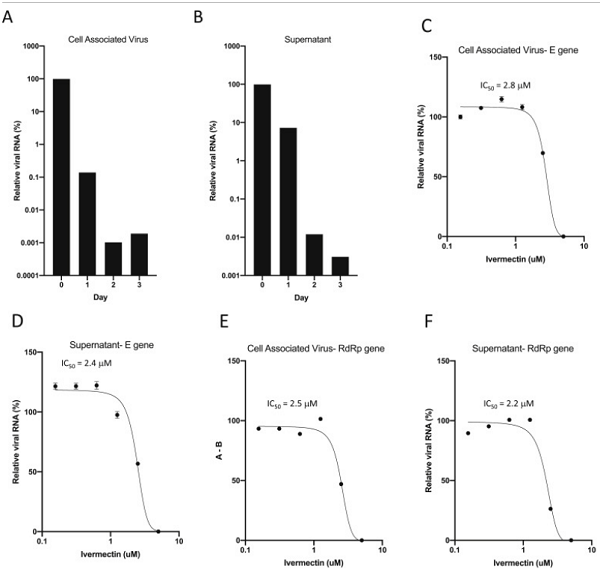 ivermectin coronavirus viral replication study