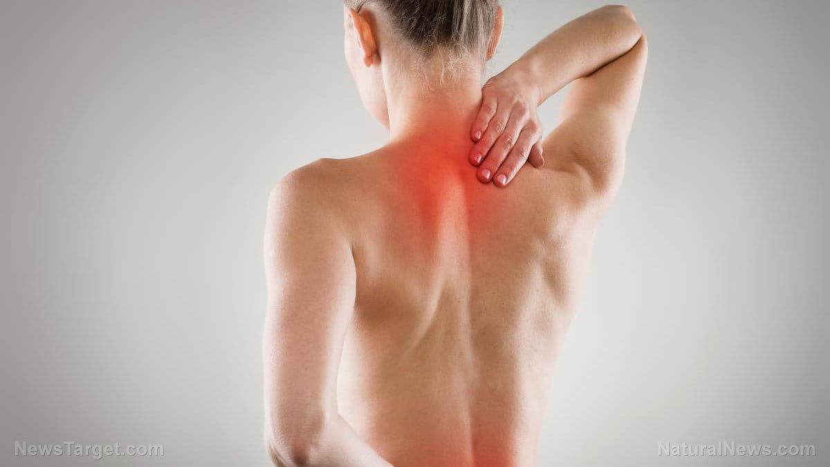 Scarllet Pain
