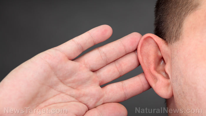 Study: Following healthy diets found to reduce the risk of acquired hearing loss by 30%