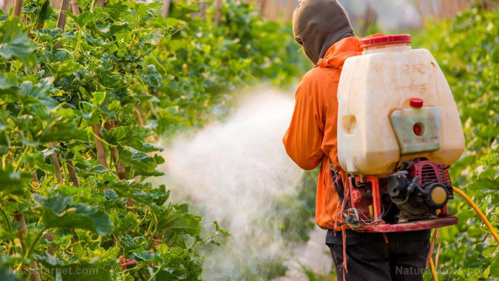 Brain-damaging neurotoxic pesticide found in hundreds of foods: EPA allows pesticide lobby to dictate policy