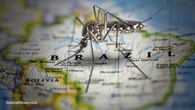 ZIKA DOOMSDAY HOAX UNRAVELS: Predicted 'explosion' of brain defects didn't happen... entire scare campaign was manufactured