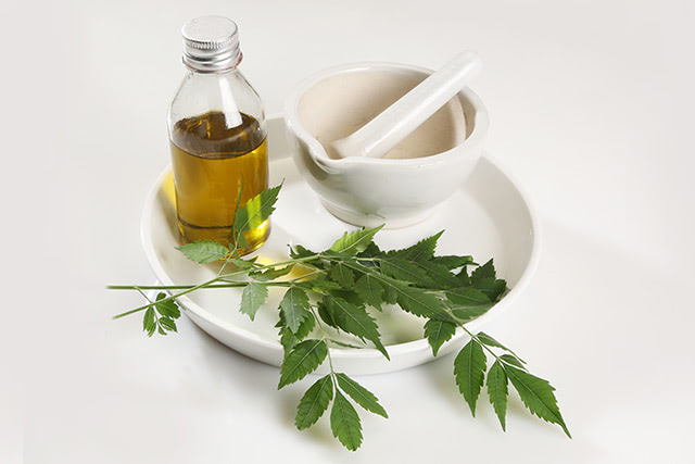 More than a natural pest repellent: Use neem oil to boost your hair and dental health