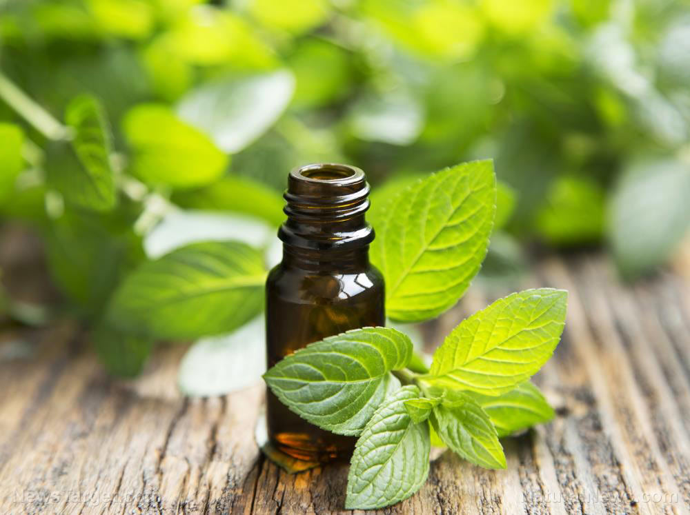 10 ways peppermint oil improves your health