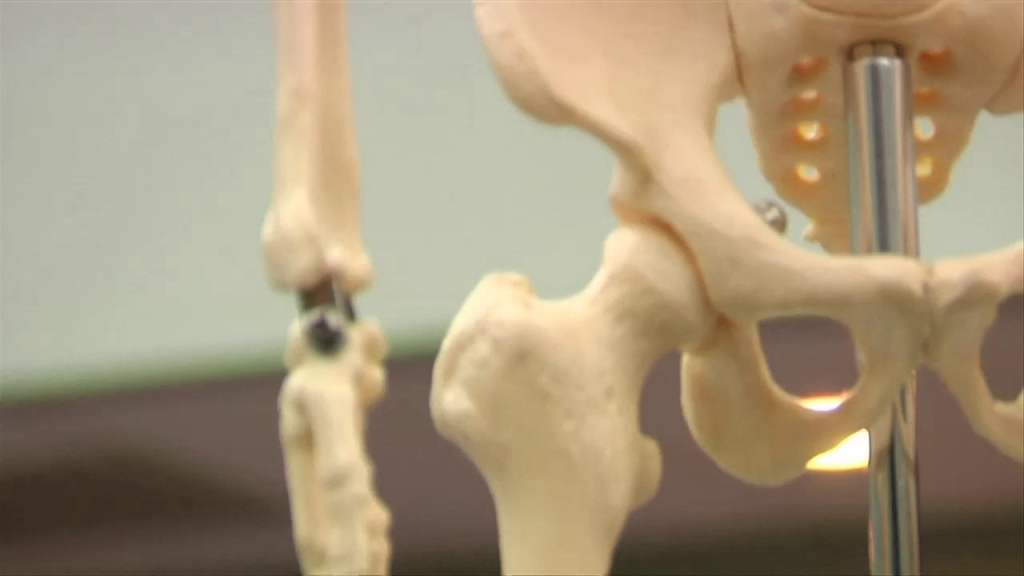 Modern bone healing: Scientists design device that helps accelerate bone regeneration