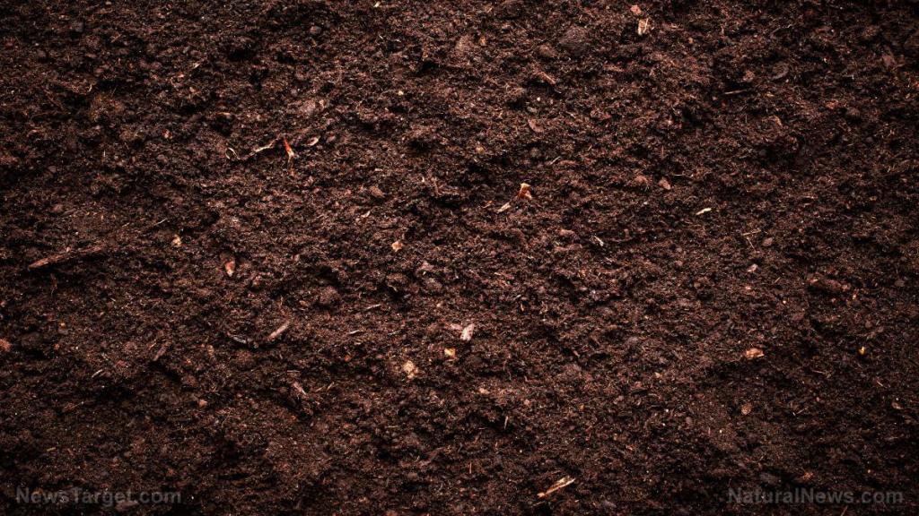 Organic fertilizer can be used to increase crop yield in plants grown in rotation