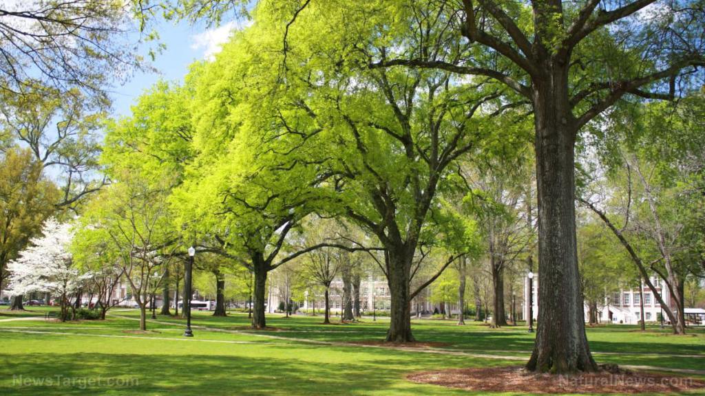 Florida Gov. DeSantis is keeping the state OPEN, protecting the freedoms and economic prosperity of Floridians