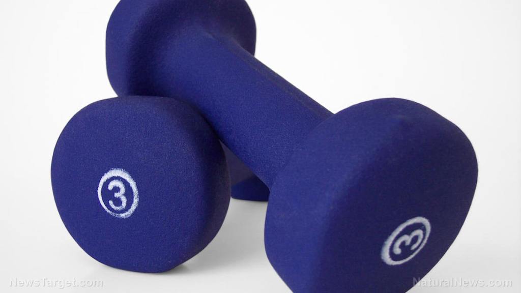 Weight training protects the brain from aging, scientists discover