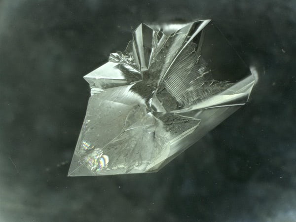 A closer look at the “beast”