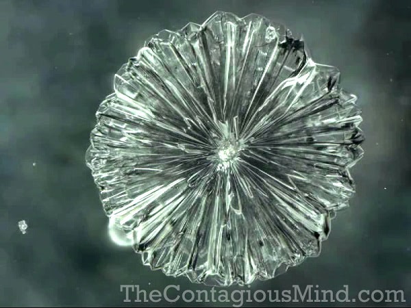 crystal of xylitol using a video microscope