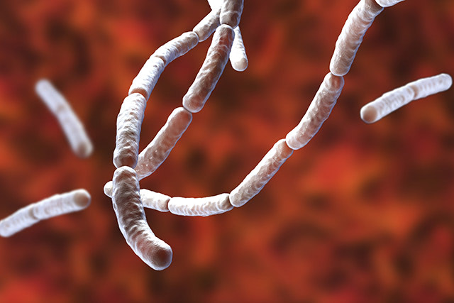 Deadly “black fungus” infection spreads among coronavirus patients in India