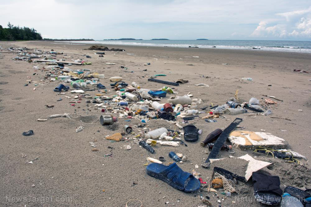 Will plastic pollution end the world? Experts say it’s possible