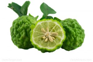 Bergamot